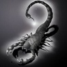 ScorpiusNeo