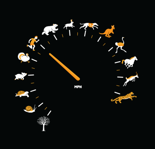 BocxolllgeHue_B_TeHu