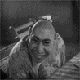 _npeDceDaTeJIb_KoJIxo3a_