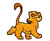TOYLEO