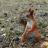 Cairn_