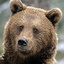 RenamedUser_6068514