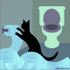 PatTheCat