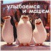 Jastran_