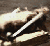 Der_graue_Wolf_1980