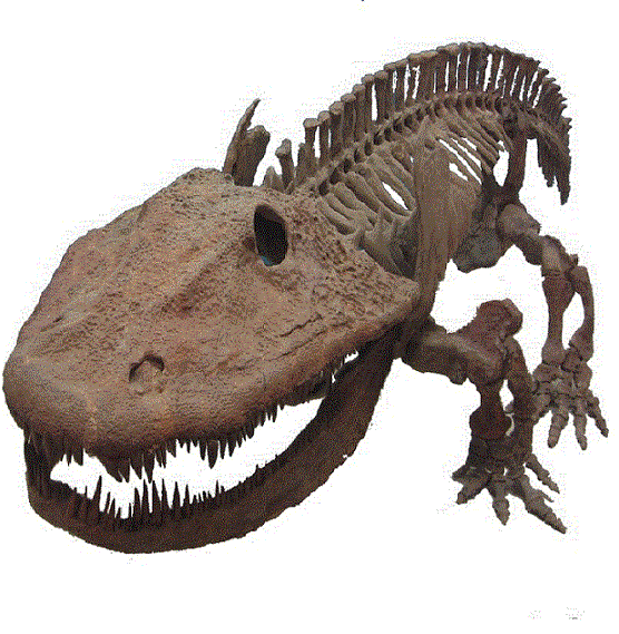 Eryops