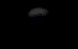 gormaxim
