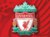 LIVERPOOLfc29