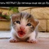 PITIFON