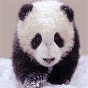 RenamedUser_8273021
