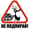 Bjorn_Brest