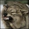 GrayWoIf