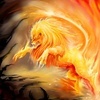 Blacklion48