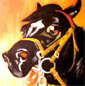 RBHorse97