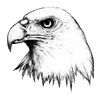 6Eagle9