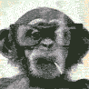 L_Tihon