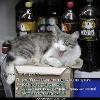 RenamedUser_12098534