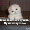 RenamedUser_12363540