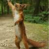 RenamedUser_12627355