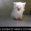 RenamedUser_1048355