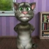 sta3d
