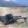 old_mongrel_2