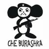 CHEBYRAIRA