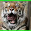 RenamedUser_13938552