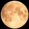 Jack_Moon