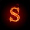 S1ims
