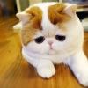 sany_0908