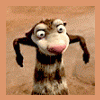 RenamedUser_1279395
