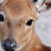 RenamedUser_1283527