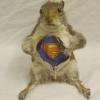 I_am_supermaN