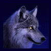 RenamedUser_122432