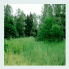 RenamedUser_122555