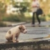 Lincoln_Burrows