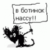 RenamedUser_1358247