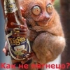 murshoid