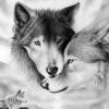 __Alone__Wolf__