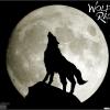 Wolf018