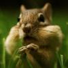 RenamedUser_18063516