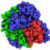 Dehydrogenase