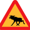 tijey1