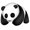 loansPanda