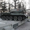 Ursus_arctos