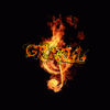 graill