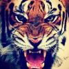 RenamedUser_20571112