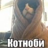 Obi_Wan_KotNoBi