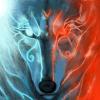 RenamedUser_1777212
